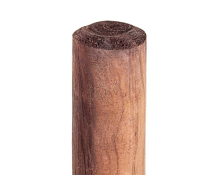 HaGa Zaunpfosten 10Stk HOLZPFAHL 5cm Stärke x 150cm Höhe Pfahl, Baumpfahl Z günstig online kaufen