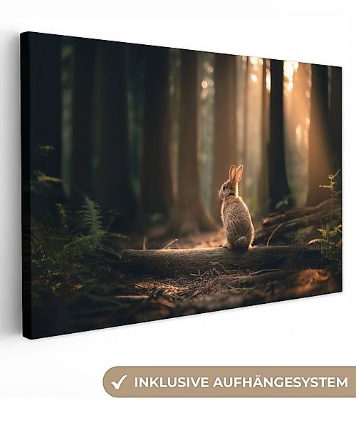 OneMillionCanvasses® Leinwandbild Kaninchen - Wald - Sonnenstrahlen, Fotodr günstig online kaufen