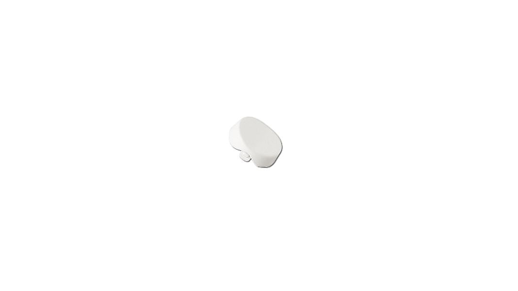 BJB Runde Wippe schwarz für Schalter 43.409 - 43.409.-007.80 günstig online kaufen