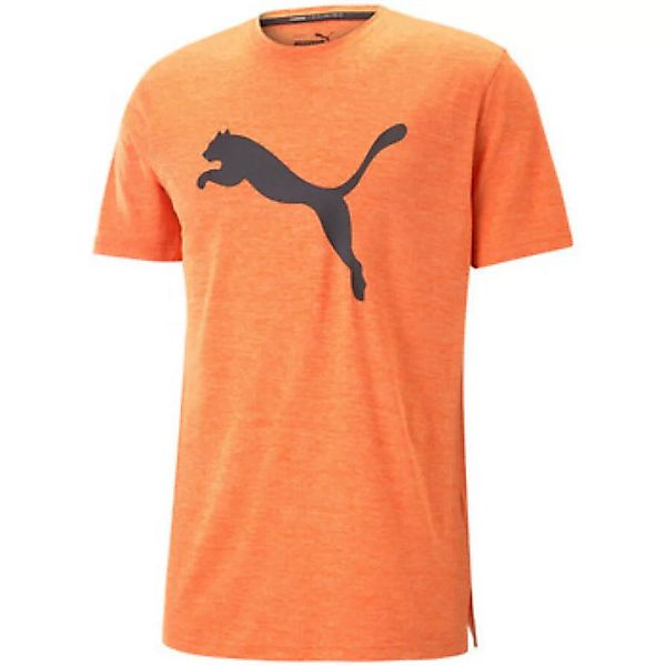 Puma  T-Shirts & Poloshirts 522352-23 günstig online kaufen
