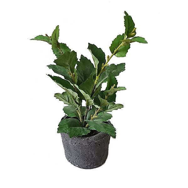 Kunstblume Grünpflanze im Topf Kunstpflanze Flora günstig online kaufen