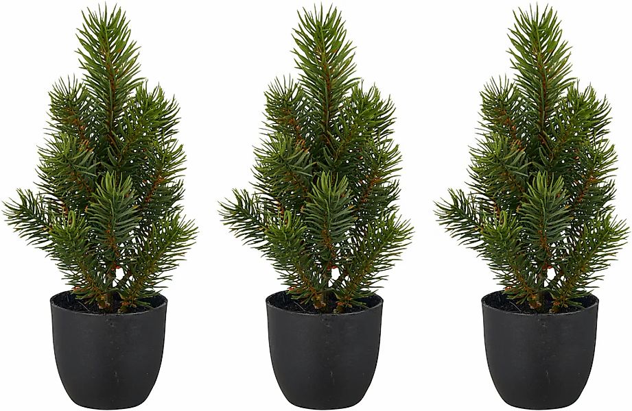 Creativ green Winterliche Kunstpflanze "Tannenbäumchen" günstig online kaufen
