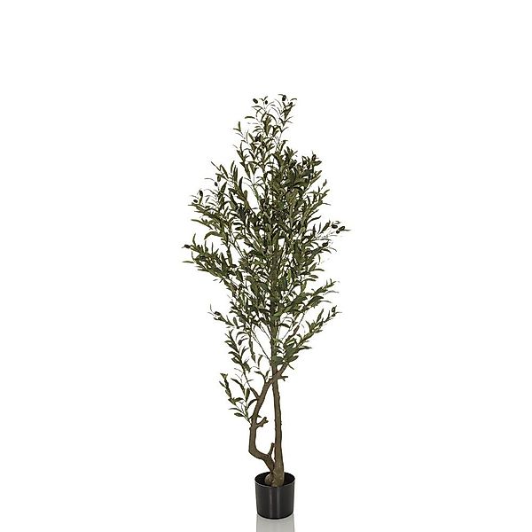 Kunstpflanze Kunstpflanze OLIVE I Kunststoff Olive, günstig online kaufen