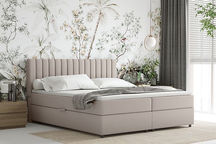 PANDA MÖBEL GmbH Boxbett EVEREST – günstig online kaufen