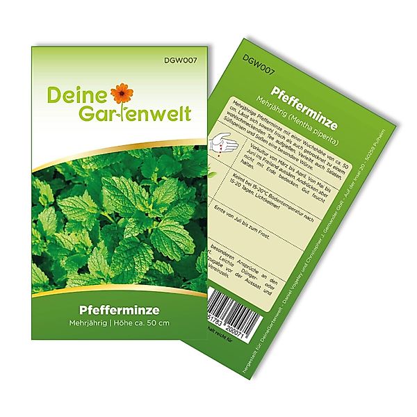 Deine Gartenwelt Pfefferminze Samen günstig online kaufen