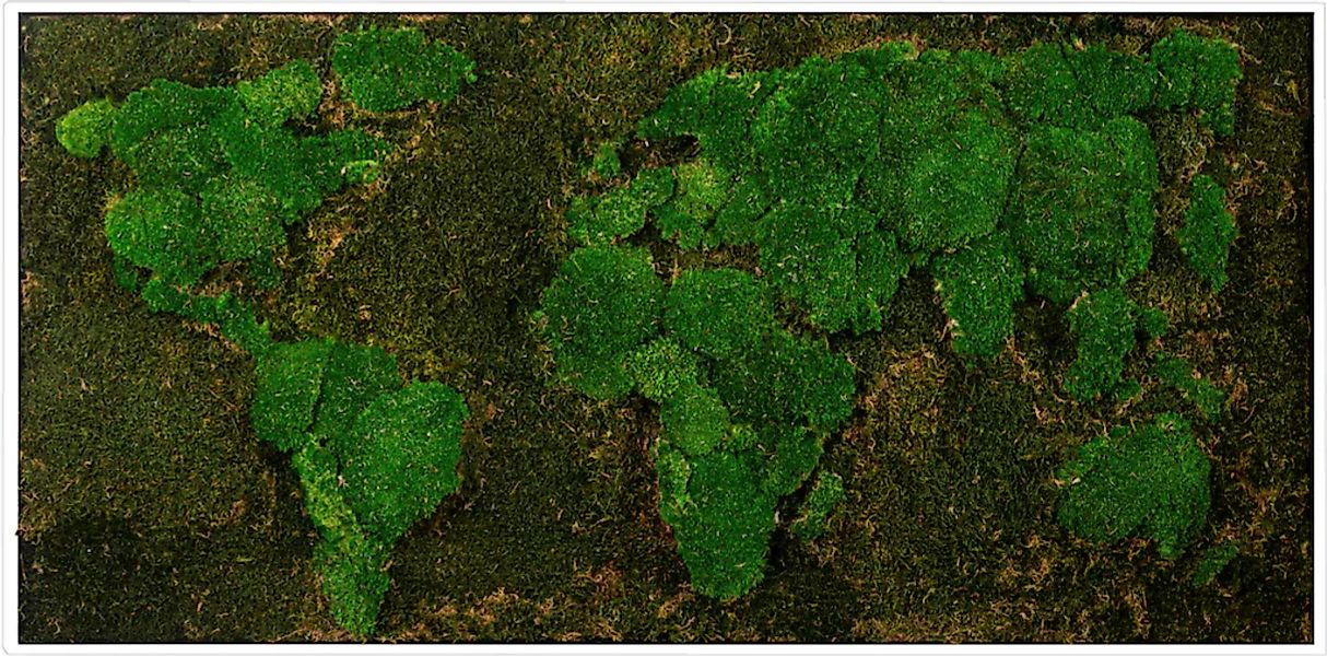 Bönninghoff Bild mit Rahmen "Moos", Weltkarte, (1 St.) günstig online kaufen