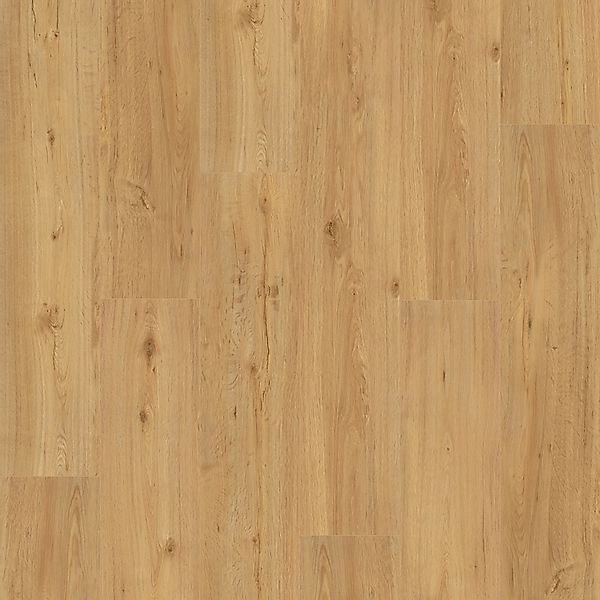 Parador Vinylboden Basic 5.3 Eiche Natur günstig online kaufen