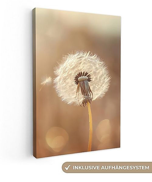 OneMillionCanvasses® Leinwandbild Löwenzahn - Beige - Natur - Blume, Fotodr günstig online kaufen