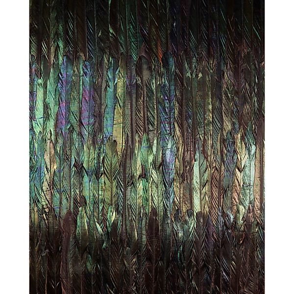 Komar Vliestapete Dark Wings  200 x 250 cm günstig online kaufen