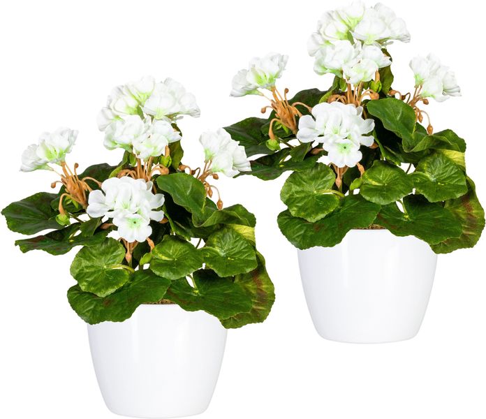 Home affaire Kunstpflanze "Havel" im Topf, 2er Set günstig online kaufen