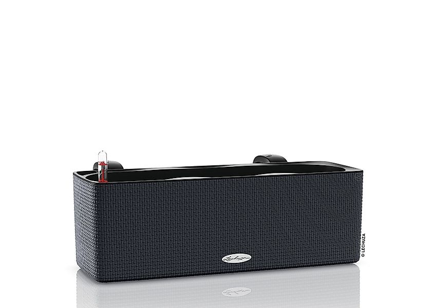 Lechuza® Balkonkasten Cube Color Triple Schiefergrau günstig online kaufen