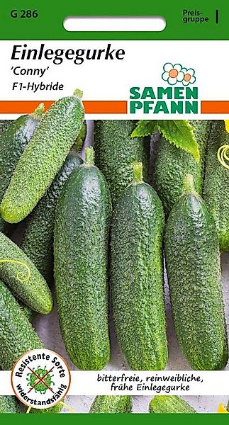 SAMEN PFANN Gemüsesamen Einlegegurke, Conny F1 - Gurken-Samen Saatgut Samen günstig online kaufen
