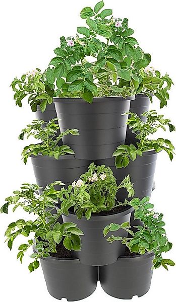 Centi Pflanzkübel Pflanzturm 4 Etagen Kartoffelturm Pflanzsäule anthrazit, günstig online kaufen
