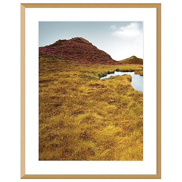 Bild Grassy Field I 40x50cm, 40x50cm günstig online kaufen