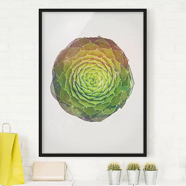 Bild mit Rahmen Abstrakt - Hochformat Wasserfarben - Mandala Sukkulente günstig online kaufen