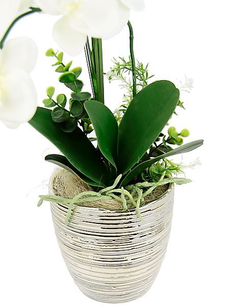 I.GE.A. Kunstblume "Arrangement Orchidee/Gras", Topf aus Keramik günstig online kaufen