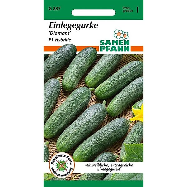 SAMEN PFANN Gurken-Samen Einlegegurke Diamant F1 günstig online kaufen