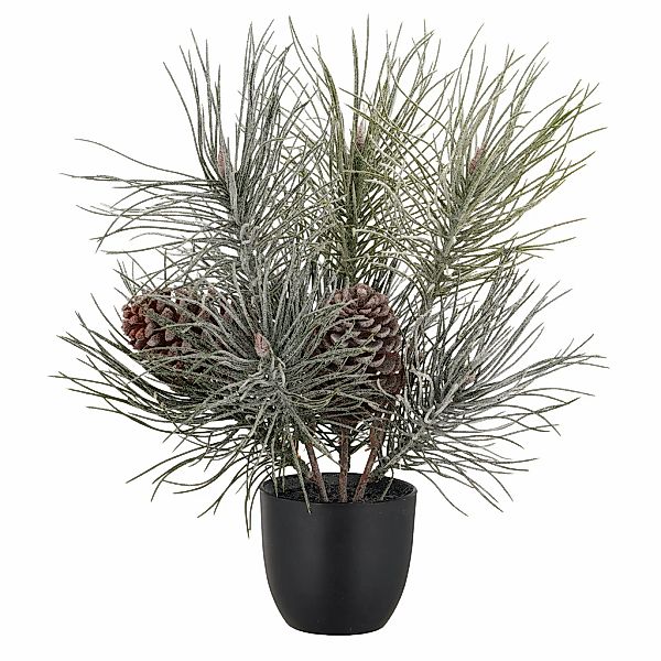 Creativ green Winterliche Kunstpflanze "Kiefernbäumchen" mit Frost-Optik günstig online kaufen