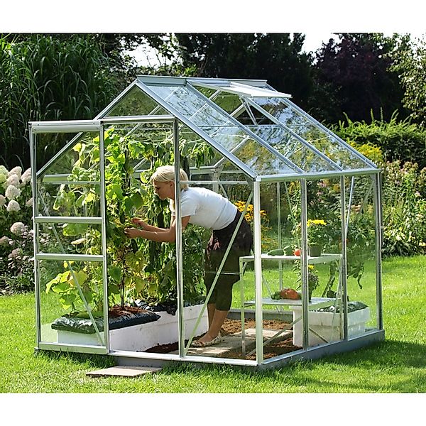Vitavia Gewächshaus Venus 3800, BxTxH: 195 günstig online kaufen