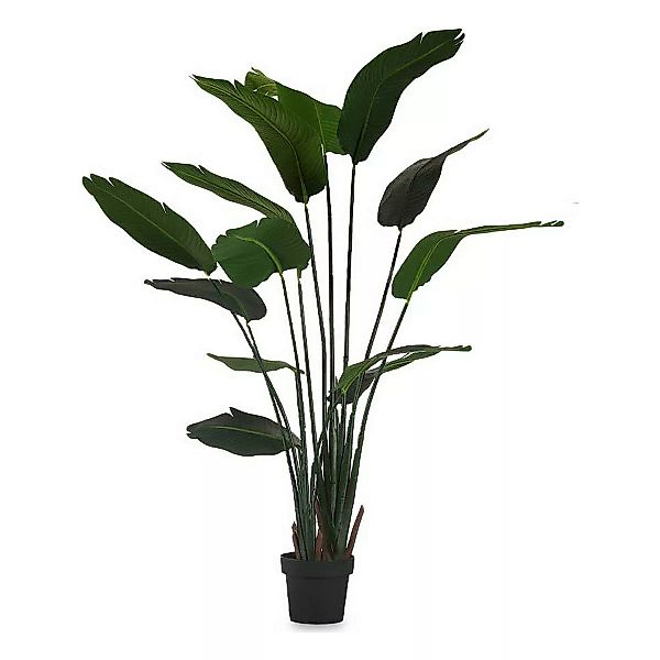 Dekorationspflanze Paradiesvogel Grün Kunststoff (130 X 160 X 130 Cm) günstig online kaufen