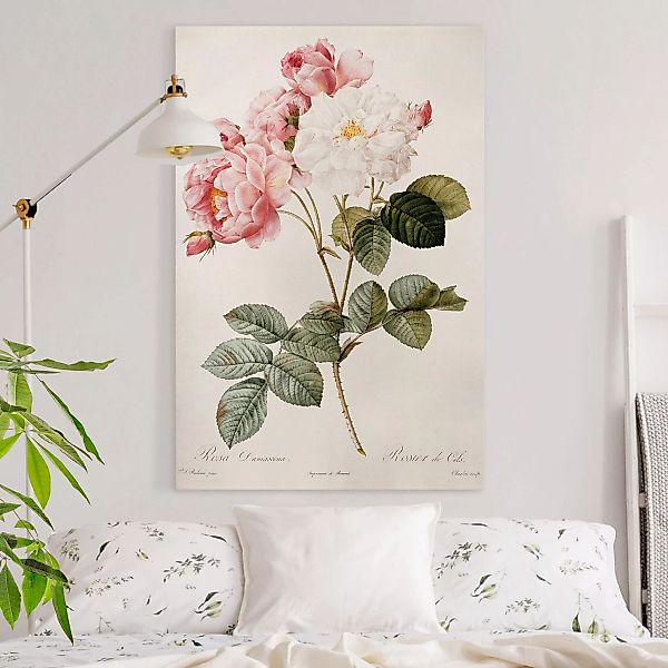 Leinwandbild Blumen - Hochformat Pierre Joseph Redouté - Damaszener-Rose günstig online kaufen