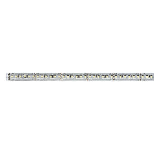 Paulmann "MaxLED 1000 LED Strip Tageslichtweiß Einzelstrip 1m 11,5W 1100lm/ günstig online kaufen