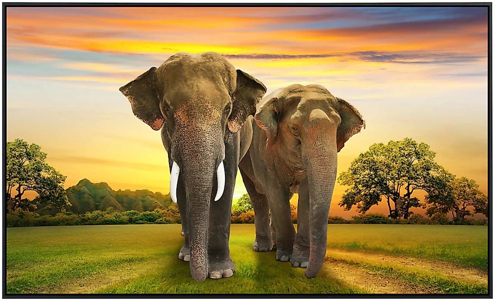 Papermoon Infrarotheizung »Elefantenfamilie«, sehr angenehme Strahlungswärm günstig online kaufen