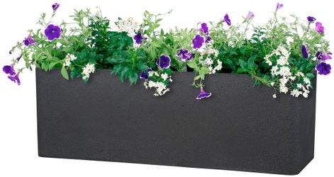 Scheurich Blumentopf 80/140 ALEA BOX günstig online kaufen
