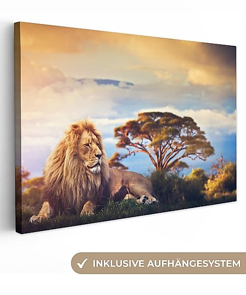 OneMillionCanvasses® Leinwandbild Löwe - Kunstdrucke - günstig online kaufen