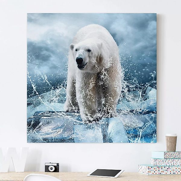 Leinwandbild - Quadrat King Of The North günstig online kaufen