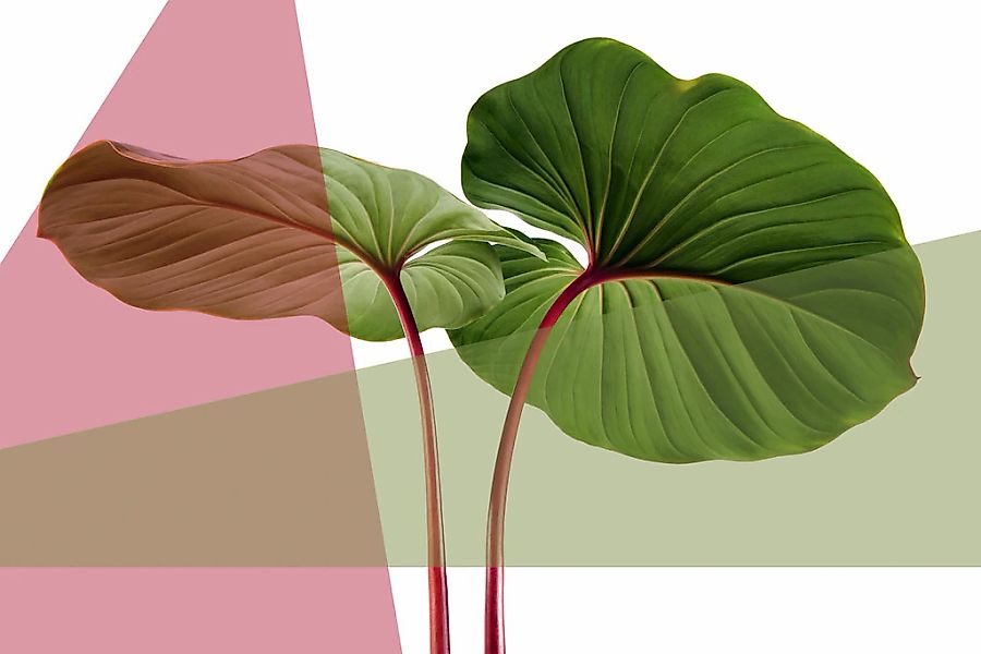 queence Acrylglasbild "Blätter" Blätter  Blätterbilder  Kunst  Pflanzen  Pf günstig online kaufen