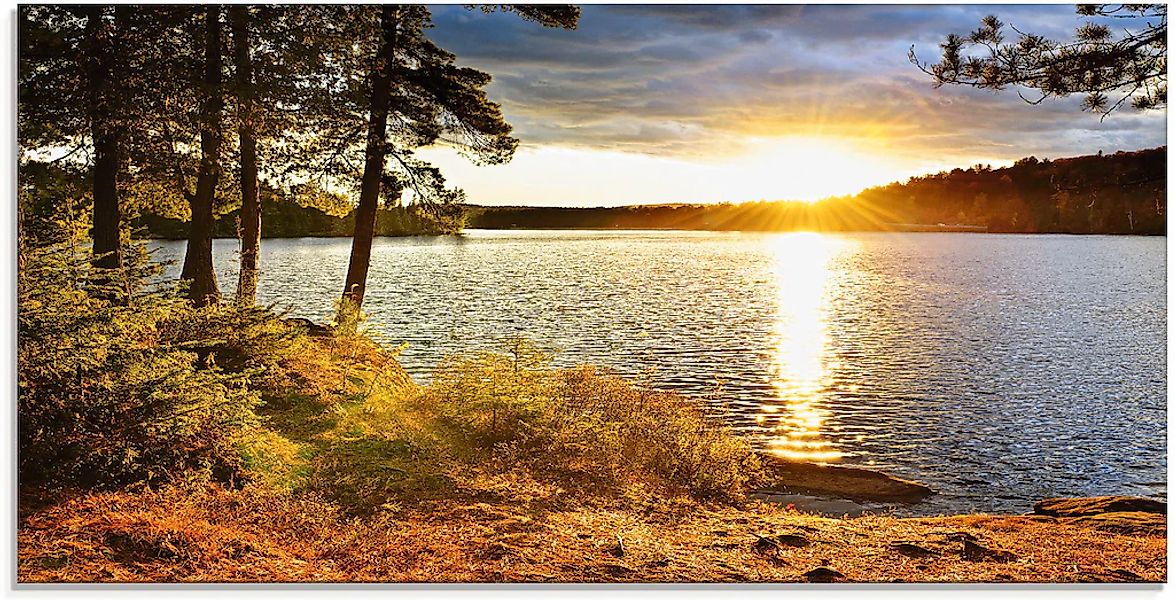 Artland Glasbild "Sonnenuntergang über See Algonquin Park" Sonnenaufgang & günstig online kaufen