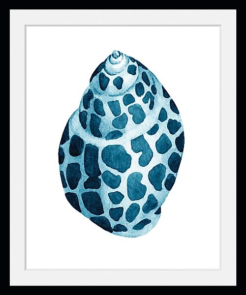 queence Bild »Muschel«, Meer-Wassertiere-Kunst, (1 St.), HD Premium Poster- günstig online kaufen