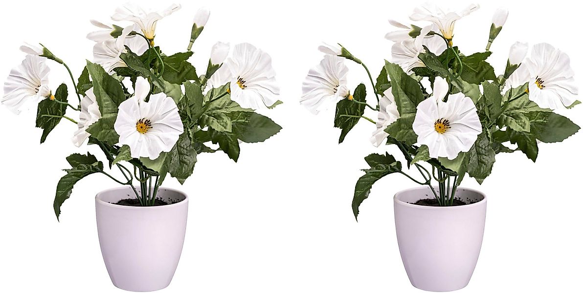 Kunstblume Petunie Mohn, Creativ green, Höhe günstig online kaufen