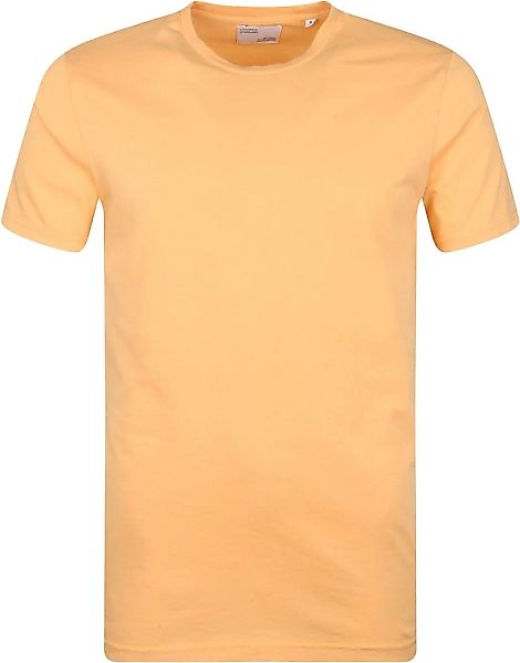 Colorful Standard Organisch T-shirt Hell Orange - Größe XXL günstig online kaufen