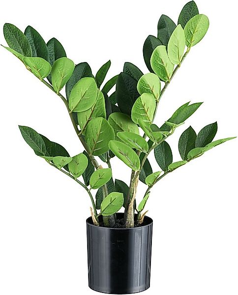 Kunstpflanze Zamifolia Grünpflanze, Creativ green, Höhe 45 cm, mit 6 Wedeln günstig online kaufen