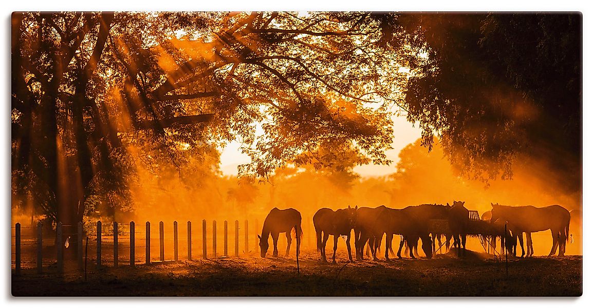 Artland Wandbild »Goldenes Licht auf der Pferdewiese« Haustiere 1 Stk. tlg. günstig online kaufen