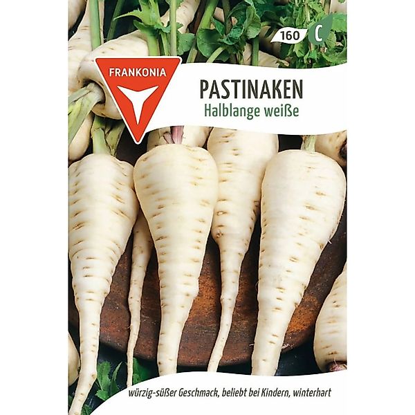 FRANKONIA Pastinaken Weiß günstig online kaufen