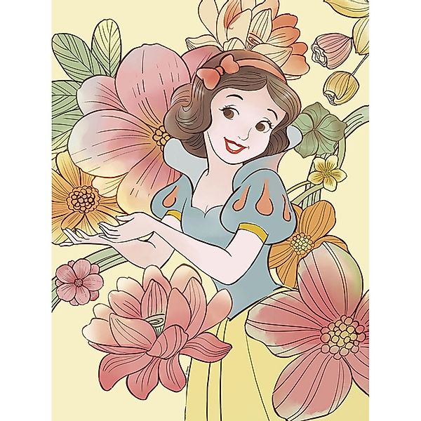 Disney Poster Schneewittchen Multicolor 30 x 40 cm 610134 günstig online kaufen