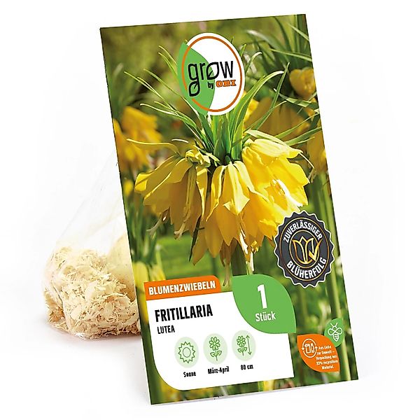 GROW by OBI Kaiserkrone LuteaBK Gelb 1 Stück Fritillaria imperialis Lutea günstig online kaufen
