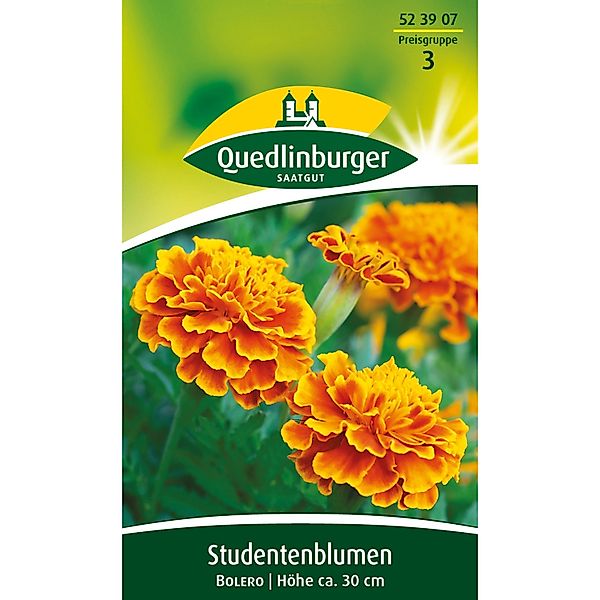 Quedlinburger Studentenblumen ''Bolero'' günstig online kaufen