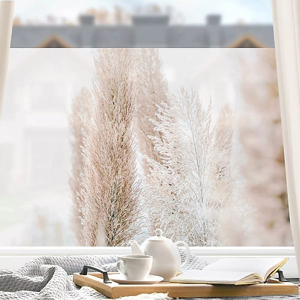 Fensterfolie Pampasgras im Weißen Licht günstig online kaufen