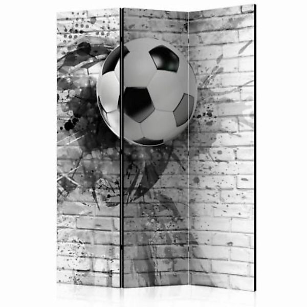 artgeist Paravent Dynamic Football [Room Dividers] schwarz/weiß Gr. 135 x 1 günstig online kaufen