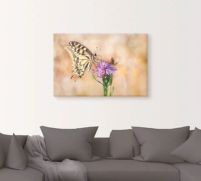 Artland Leinwandbild »Schwalbenschwanzschmetterling«, Insekten, (1 St.), au günstig online kaufen
