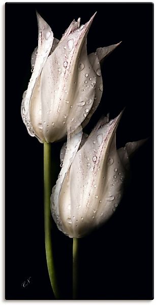 Artland Wandbild "Weiße Tulpen in der Nacht" Blumenbilder 1 Stk. tlg. als A günstig online kaufen