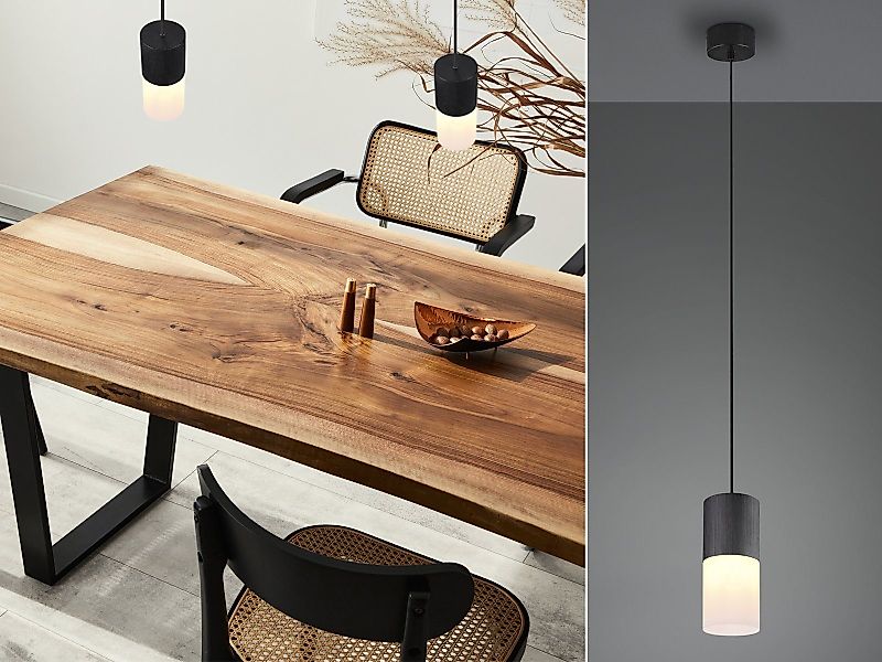 TRIO Leuchten LED Pendelleuchte, Dimmfunktion, LED günstig online kaufen