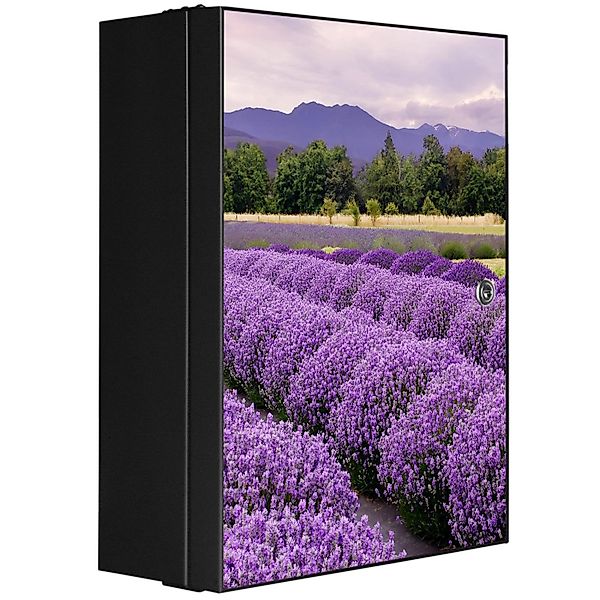 Banjado XXL Medizinschrank Abschliessbar 35x46x15cm Arzneischrank Anthrazit günstig online kaufen