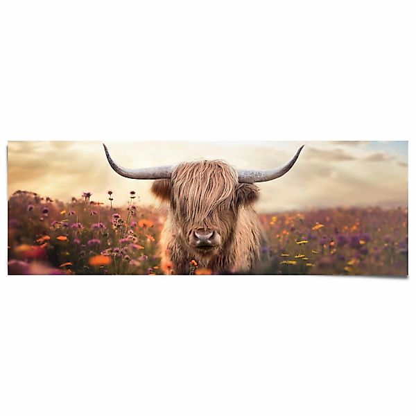 Reinders Poster "Spring Highlander" günstig online kaufen