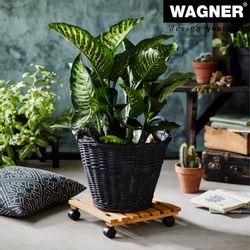 WAGNER design yourself Pflanzenroller NATURE in günstig online kaufen