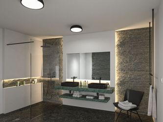 Paulmann LED Deckenleuchte Selection Bathroom Oka günstig online kaufen